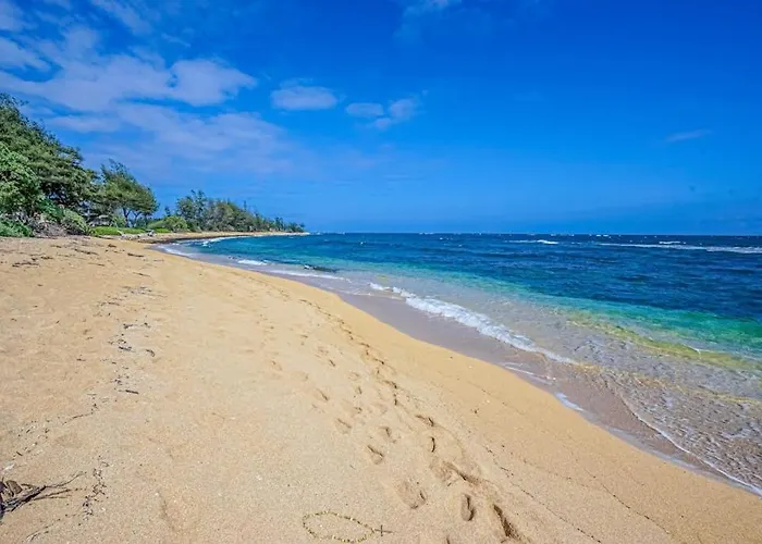 Islander On The Beach 339