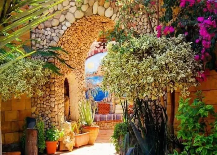Dream Lodge Siwa دريم لودج سيوة
