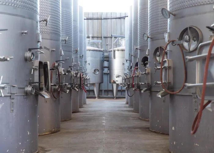 Vina La Playa Hotel & Winery By Sutil Wines