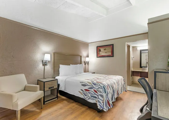 St. Petersburg Motels