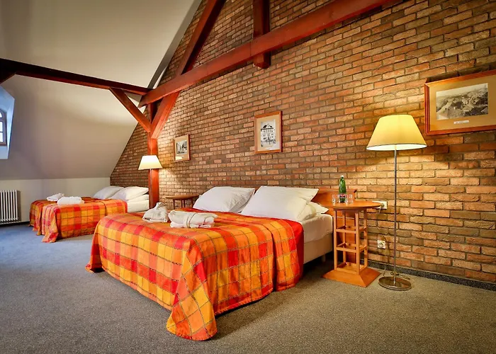 Lh Hotel Dvorak Tabor Congress & Wellness