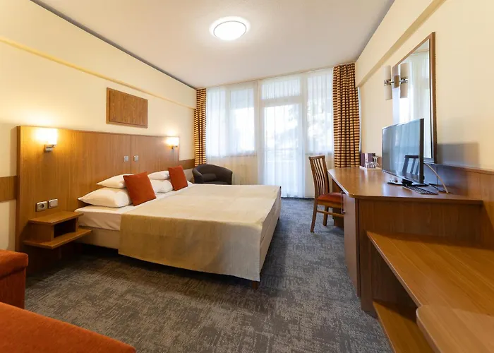 Art Hotel Superior