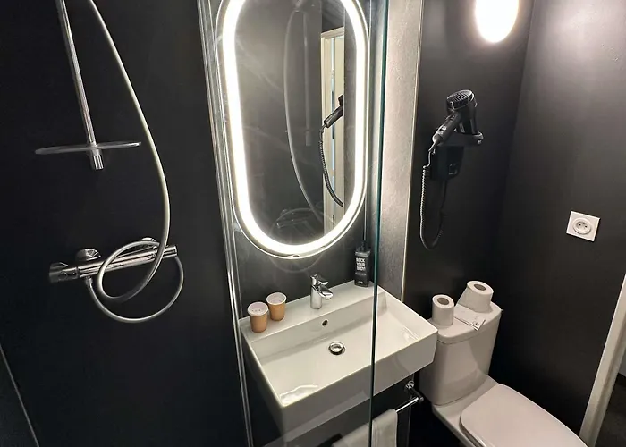 Ibis Abbeville
