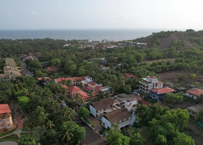 The Ivy Anjuna