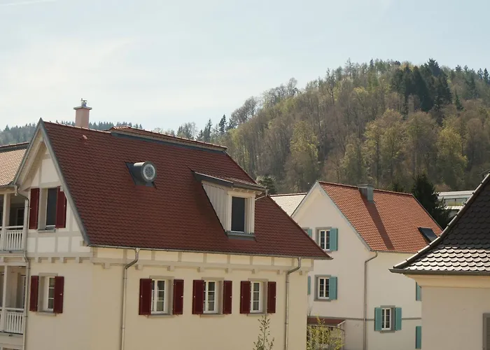 Hotels in Bodman-Ludwigshafen