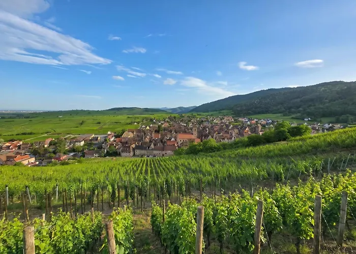 Best Western Plus Hotel & Spa Le Schoenenbourg