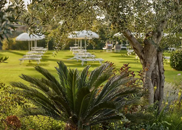 Park Hotel Casimiro