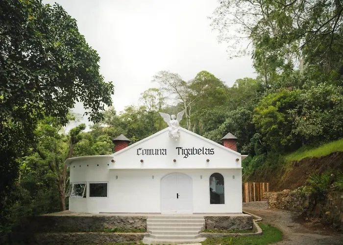 Manulalu Jungle