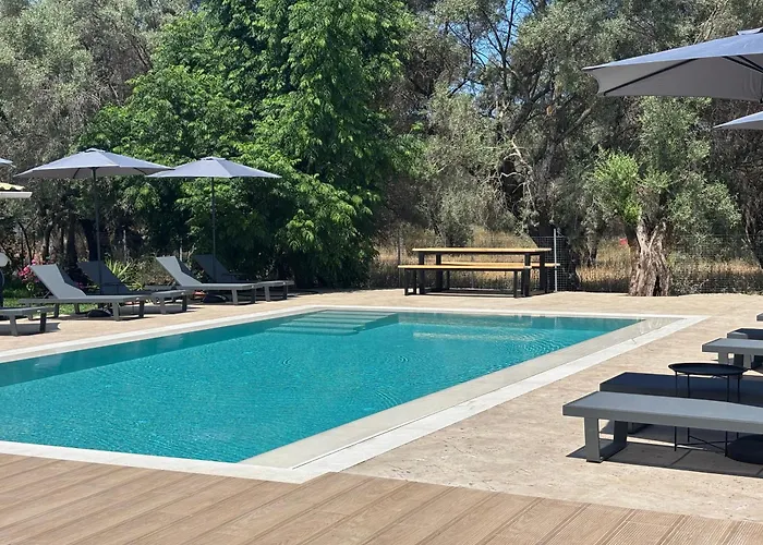 Olive Tree Apartments