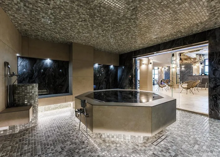 Hotel Central - Baile Olanesti