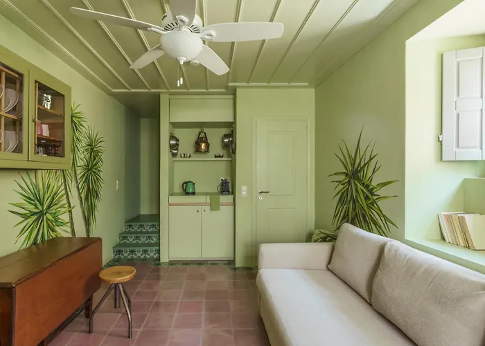 Cactus Hydra - Art Apartments
