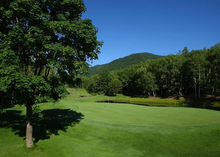 Hinode Hills Niseko Village, Curio Collection By Hilton