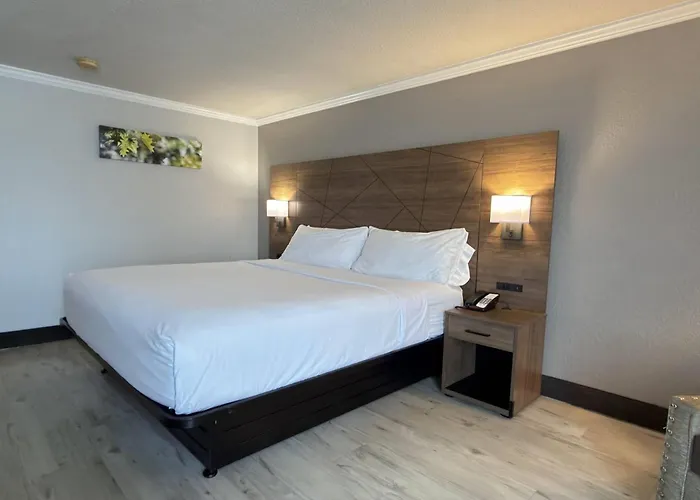 Wyndham Garden Summerville