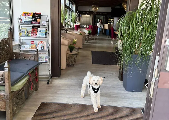 Hotel Regina