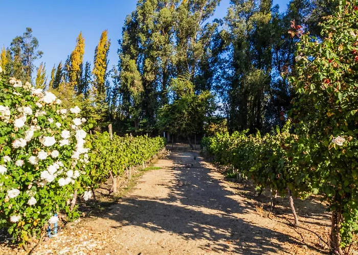 Hotel Boutique Raíces de Colchagua