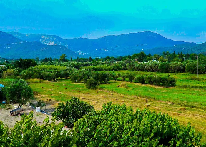 Hotel Odyssion