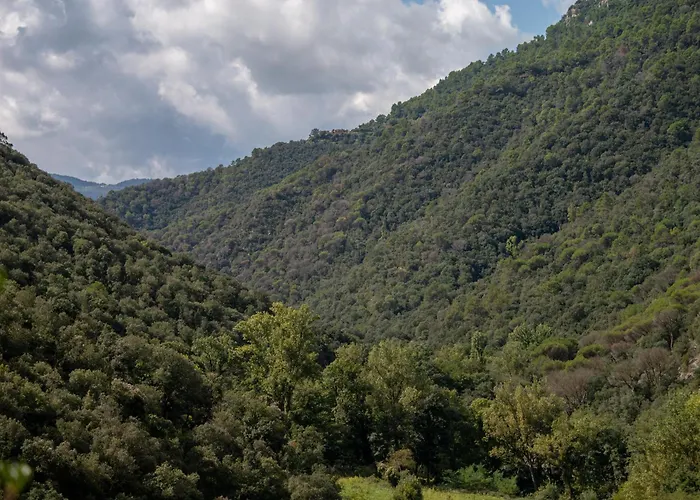 Bed And Breakfast Casanova De Sant Miquel