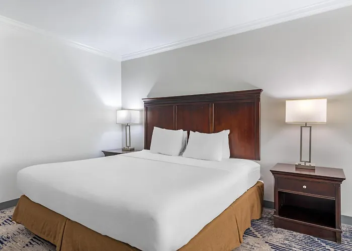 Best Western Plus Southpark Inn & Suites