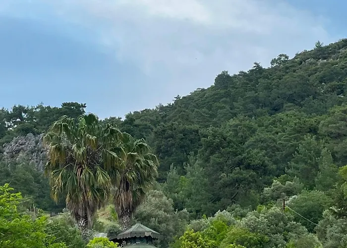 arzum bungalovs