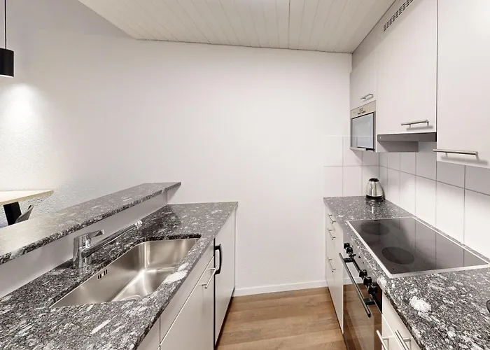 Apartmenthouse Viktoria In Bern