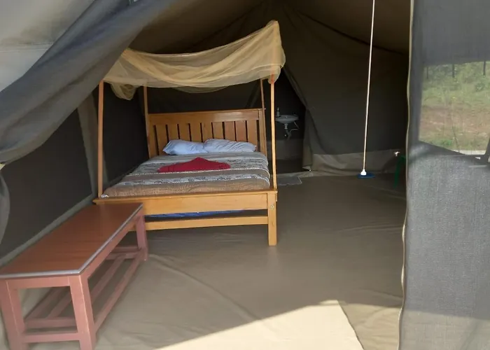 Wild Enthusiasts Camps