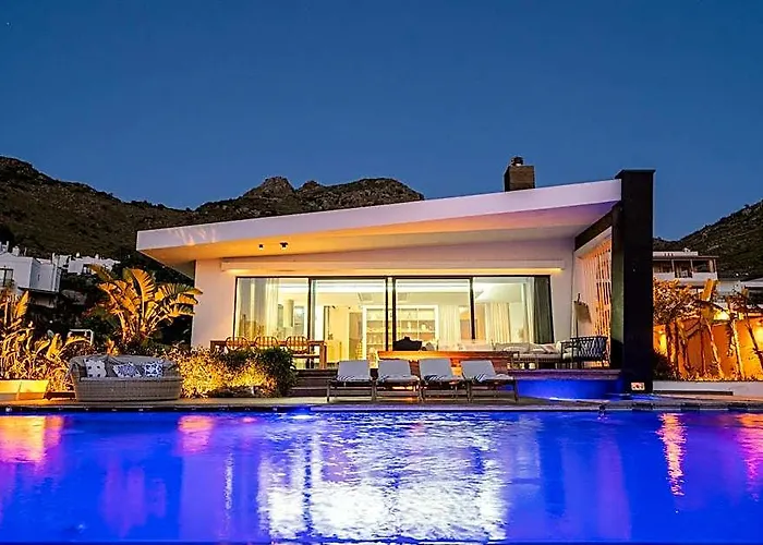 Mugla Villa 1013