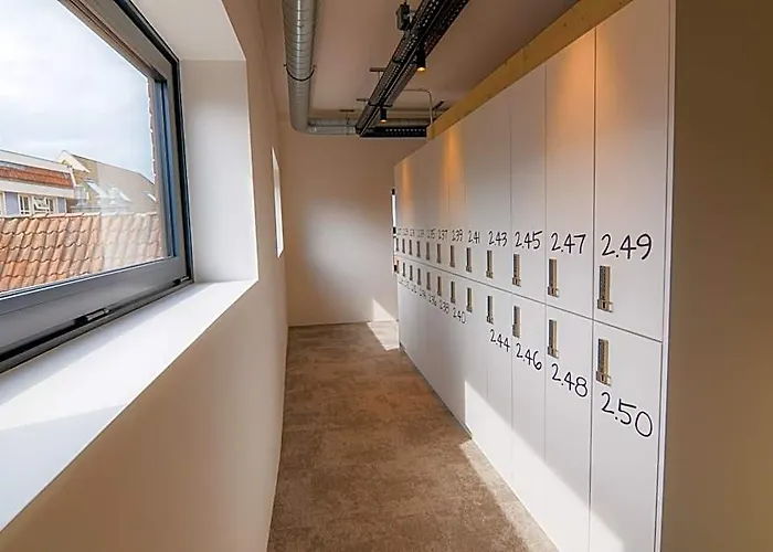 Kumo Hostels