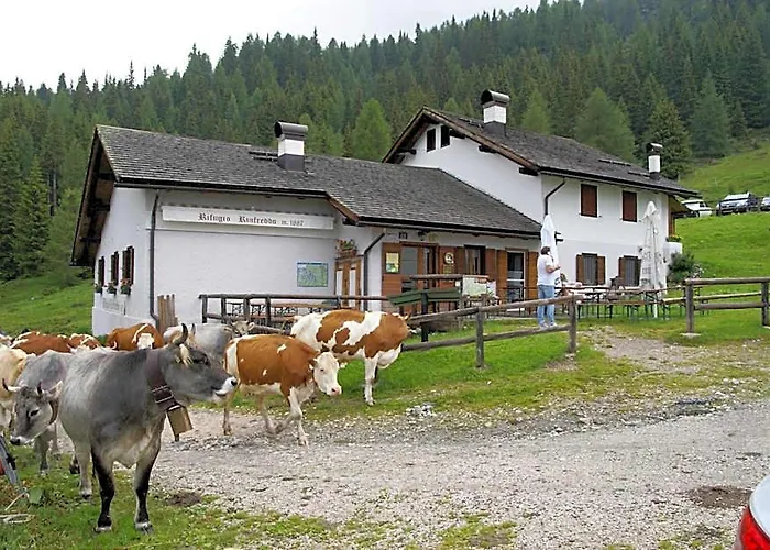 Rifugio Rinfreddo