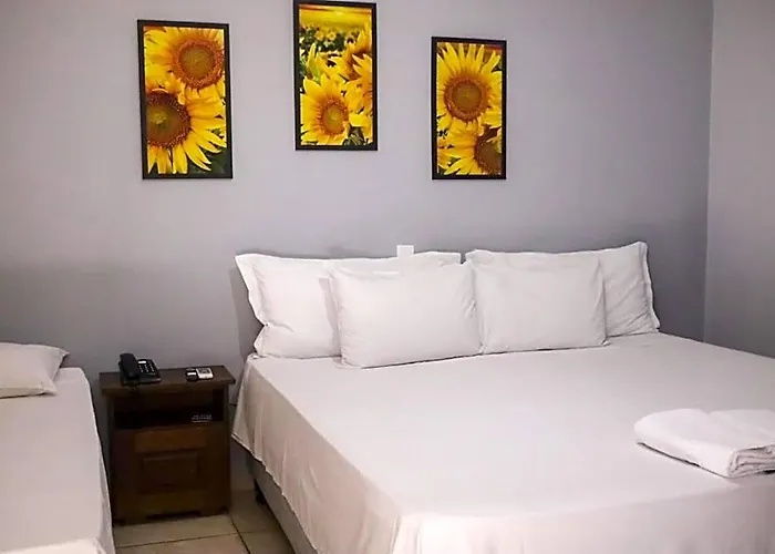 Shellter Hotel