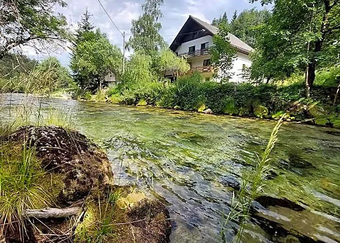 The Riverside Chill Hostel