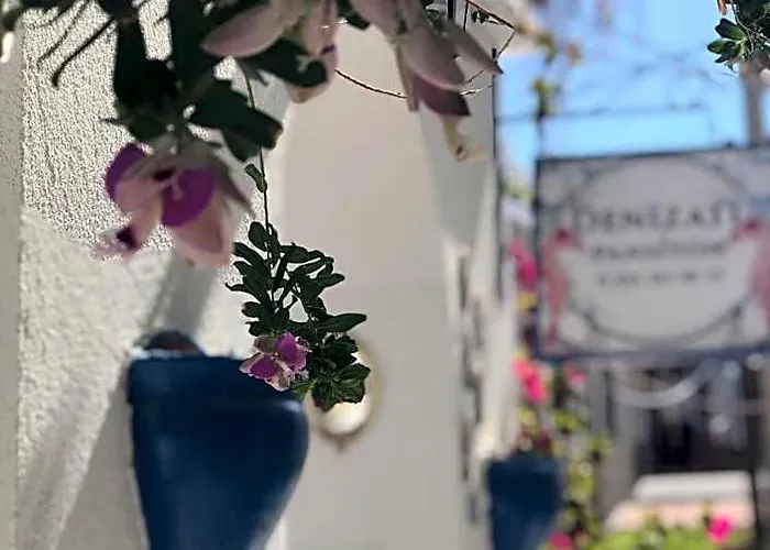 Ostelli di Bodrum