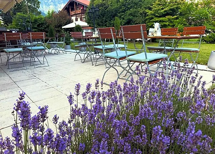 Hardi'S Hotel