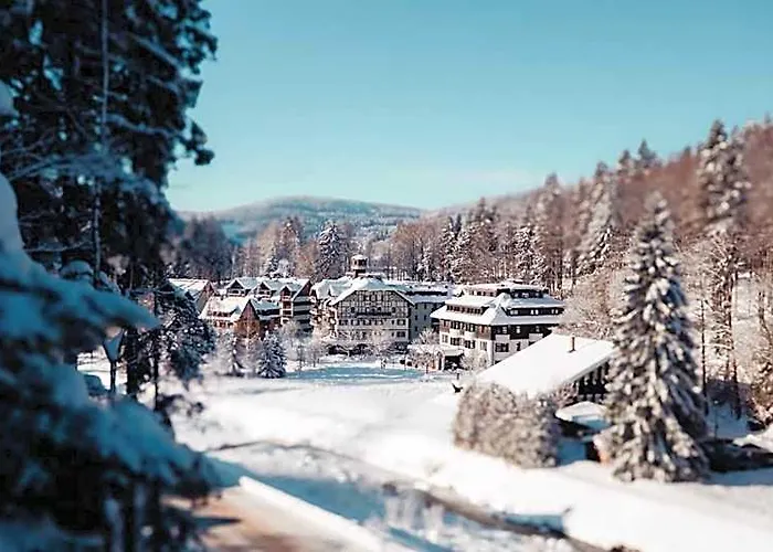 Hotel Savoy Spindleruv Mlyn