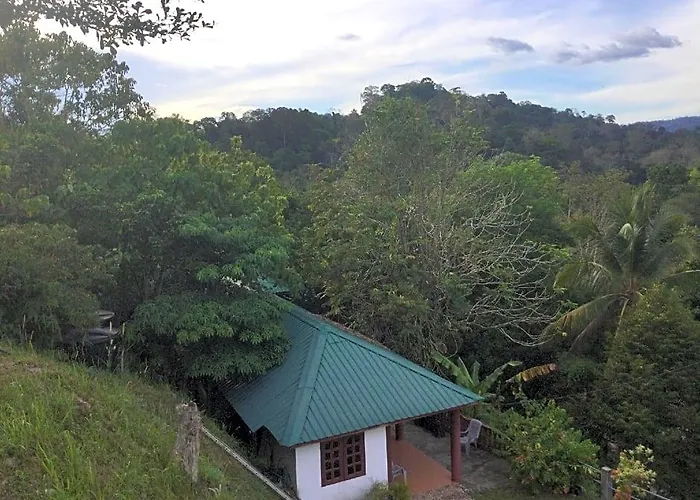 D View Hill Hotel