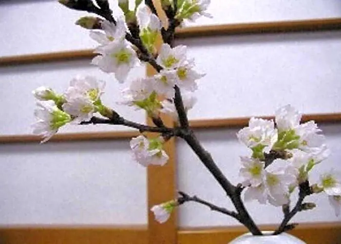 Wakaba Ryokan / Vacation Stay 29362