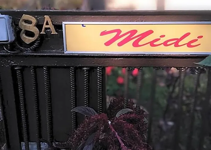 Midi