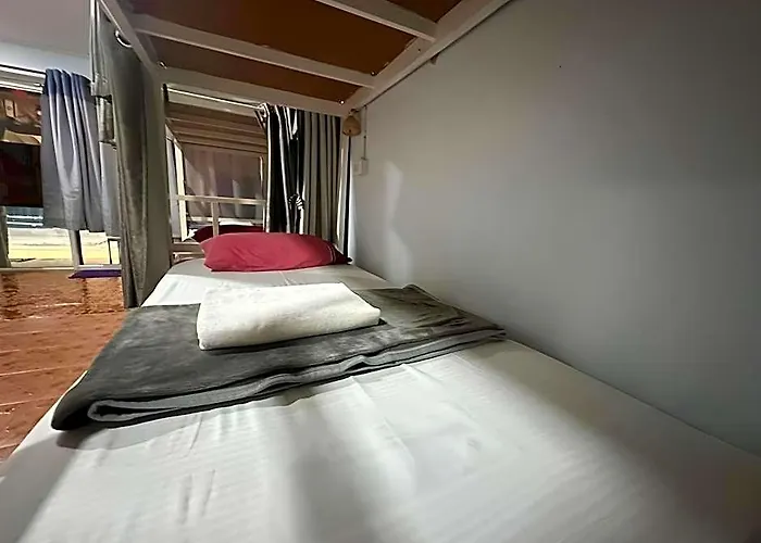 Hangover Hostel