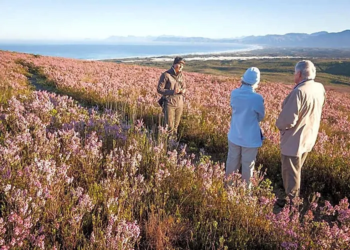 Grootbos Private Nature Reserve
