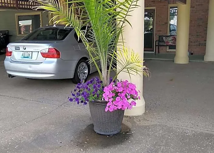 Southern Comfort Suites