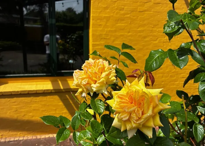 Albi'S Sandvig Boutique Hotel