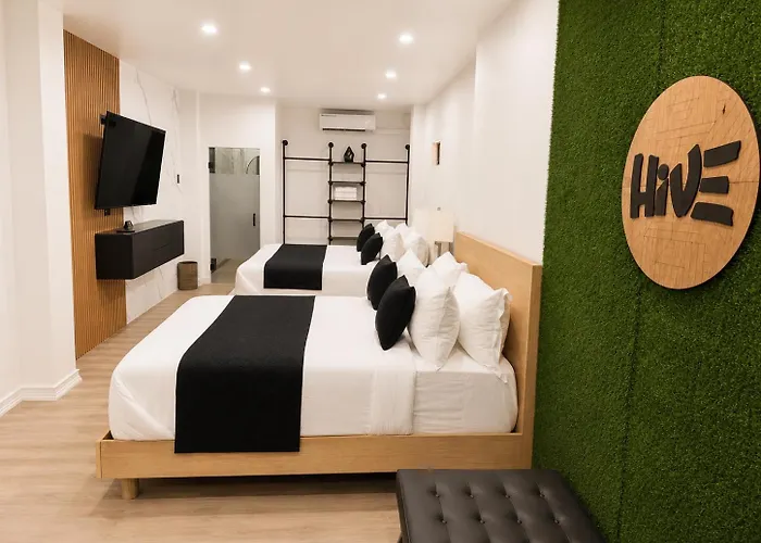 The Hive Boutique Hotel Pool Suite 108