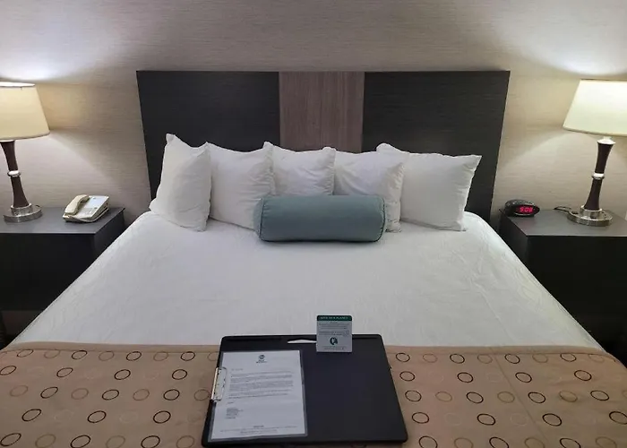 Best Western Airport Inn