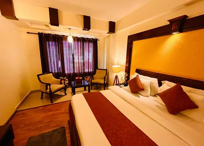 New Daffodil Classic Manali