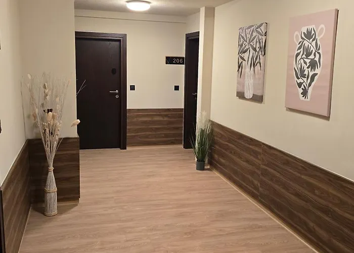 Drei Schweizer Hotel