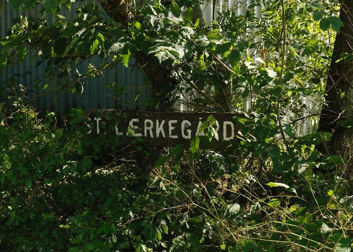 Store Laerkegard