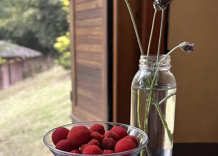 Pousada Ritmos da Terra