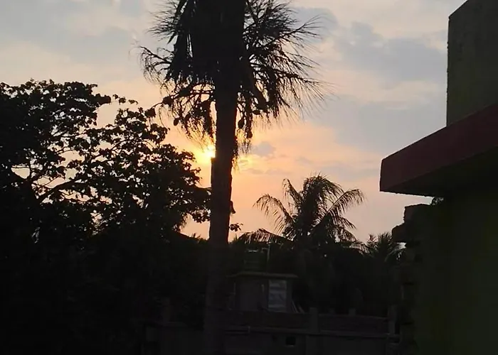 Green House Stay