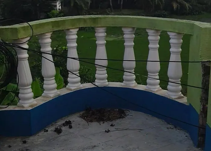 Green House Stay
