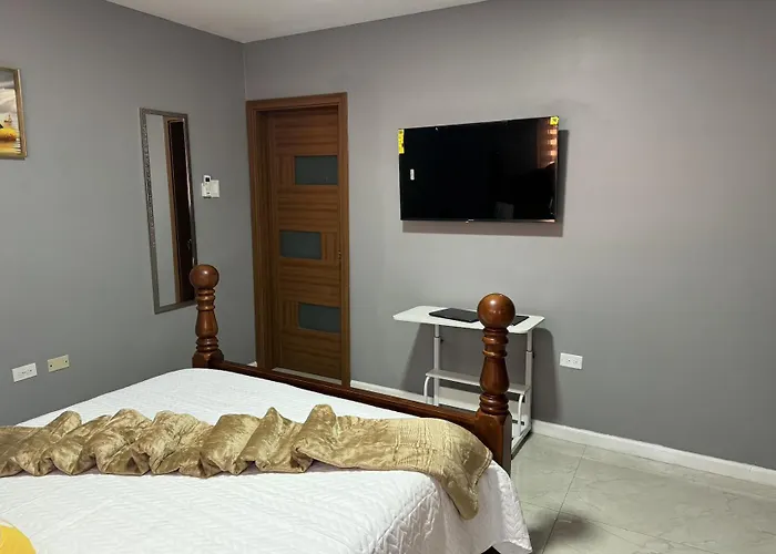 Elegant 3Br Kingston Loft With Private Rooftop