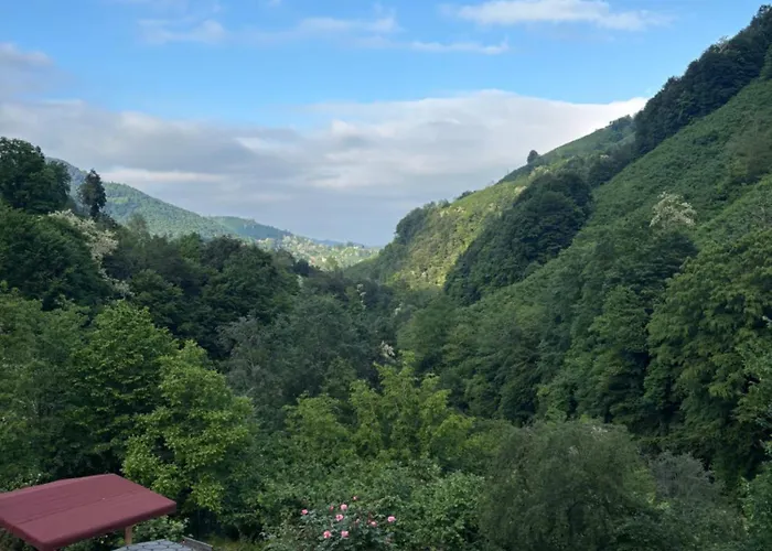 Ohtamis Selalesi Bayrak Tesisleri